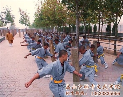 文体艺术培训产品解析 助力艺术修养与心灵成长的多元选择